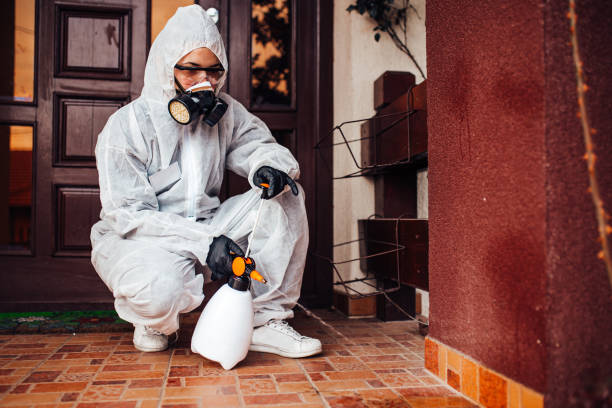 Reliable Wasp Removal contractor in Paris, IL by Show Me Pest Control